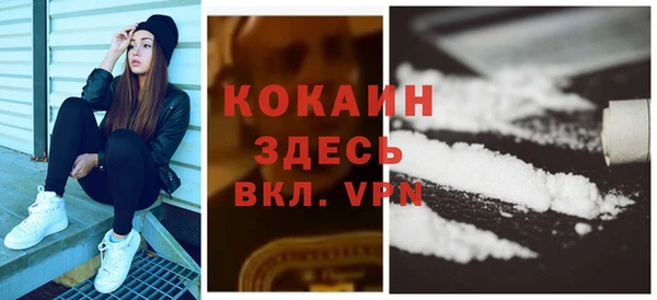 дживик Богданович