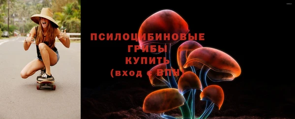 экстази Богородицк