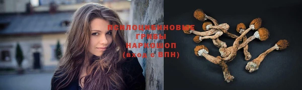 дживик Богданович